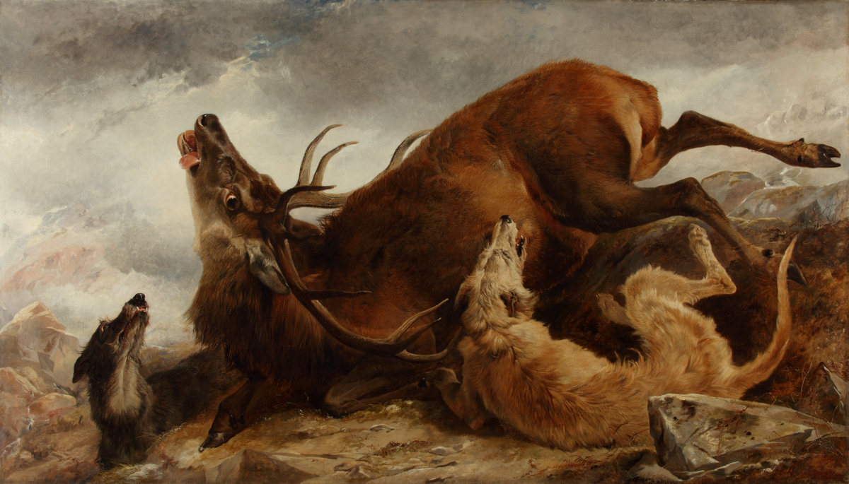 The Chase (former title The Death of the Stag)